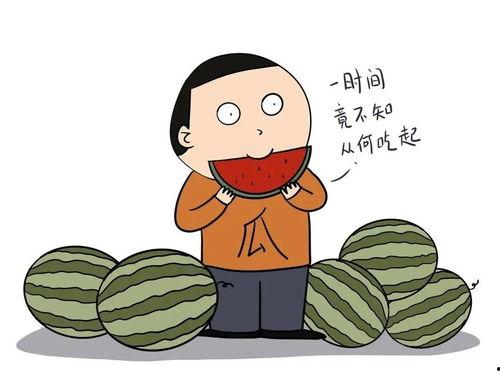 这个城市我说了算
